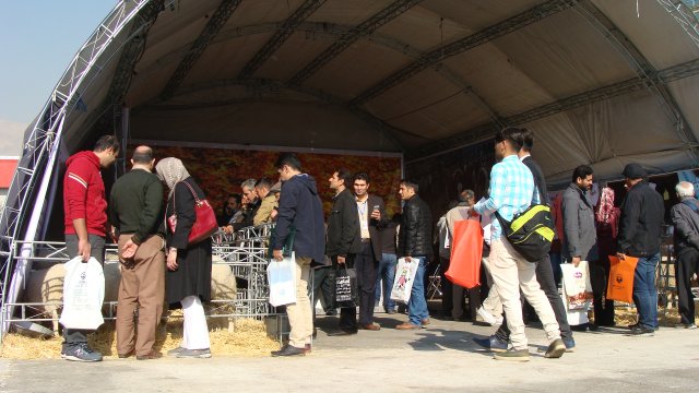 n16.101